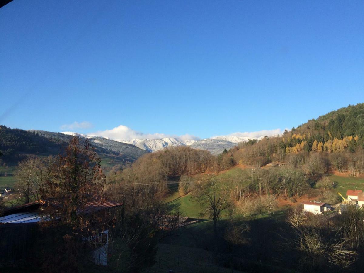 Les Effraies Villa Hohrod Luaran gambar